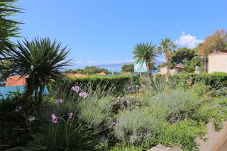 Apartments by the sea Brela, Makarska - 20598 - 4