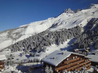Résidence Mont Vallon - Méribel - 7