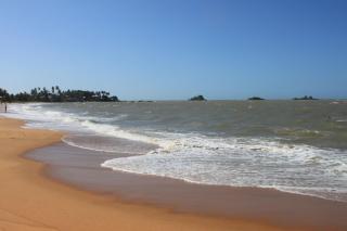 Beau T3 proche plage secteur Montabo à Cayenne - Cayenne - 4