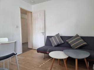 Bethnal Green/Brick Lane 2 Bedroom Apartment - Londra - 9