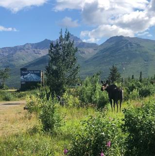 Denali Park Hotel - Healy - 9