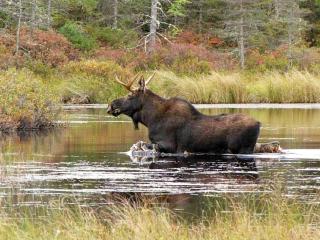 2 person holiday home in FÄRGELANDA-By Traum - 3