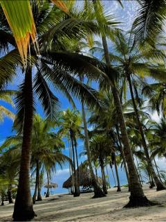 Cabanas Las Estrellas - 1