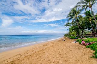 International Colony 17 - Lahaina - 9