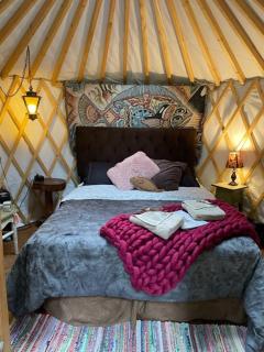 Nauti Otter Inn and Yurt Village - 2