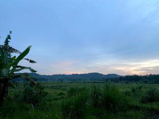 Villa Sare - House with panorama rice field view - 5