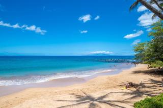 Ekolu 1606 - Wailea - 9