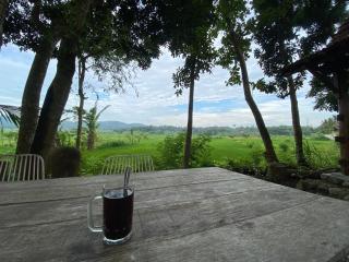 Villa Sare - House with panorama rice field view - 2
