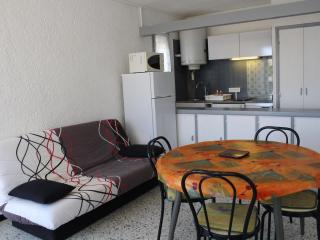 Appartement T2 en RDC avec terrasse, à 500m du centre de Port-la-Nouvelle, parking et animaux admis - FR-1-229C-81 - Port-la-Nouvelle - 9