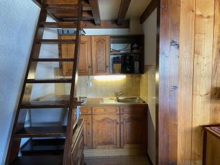 Appartement 4 personnes, skis aux pieds, centre village avec parking - FR-1-733-135 - 9