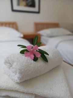Rosa apartment Mirca - Mirce - 9