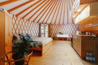 Jurty i namioty w Lesie KotfaLas Glamping Świętokrzyskie-SPA - 9