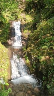 Apartament ELVIRA Băile Herculane - 3