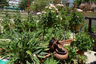 VILLA AVATOS 3 - Near to the port of Rafina and the airport of Athens - Áyios Spirídhon - 2