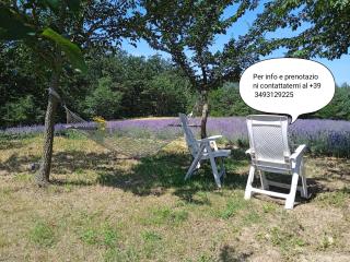 Cascina Boschetto - 7