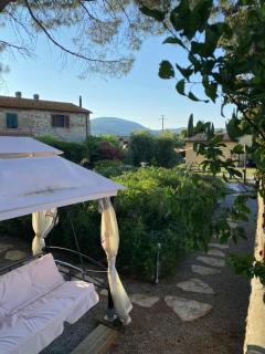 Casale Rosmarino - Suvereto - 2