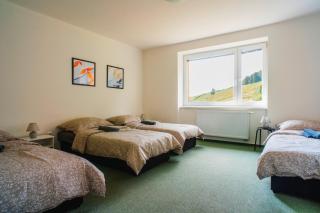 Apartmány Špička - Stříbrnice u sjezdovky - Staré Město - 2