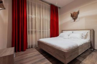 City Nest Maria by Short-Stay - Baia Mare - 5