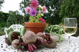 Au Petit Bled - Hermelinghen - 9