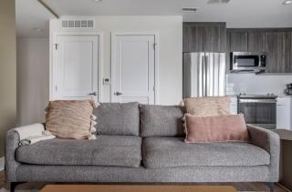 Pentagon City 1br w pool gym nr restaurants WDC-693 - 9