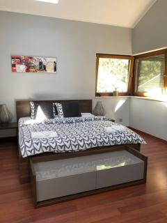 Apartament przy lesie - 2