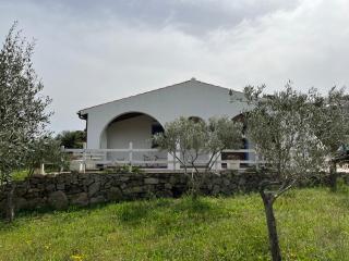 La casa nell'oliveto - Berchidda - 0
