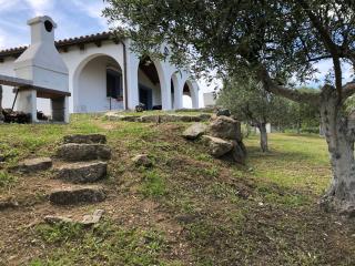 La casa nell'oliveto - Berchidda - 4