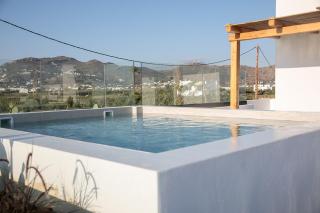 Iphimedeia Luxury Hotel & Suites - Naxos Chora - 7