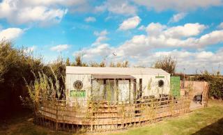 Green CargoPod at Lee Wick Farm Cottages & Glamping - Clacton-on-Sea - 0