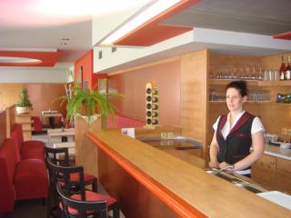 Hotel Steiger - Krnov - 5