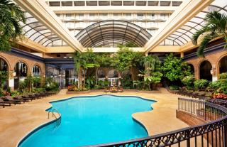 Courtland Grand Hotel, Trademark Collection by Wyndham former Sheraton Atlanta - Atlanta - 4