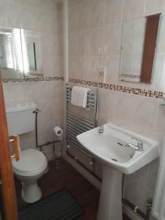 Spacious, self-contained annex in Stratford - 4