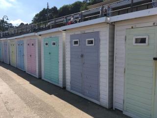 2 Dorset Mews - Lyme Regis - 3