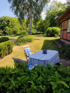 Chalet Forsthof Everstorf - kleine Wohnung - Grevesmühlen - 5