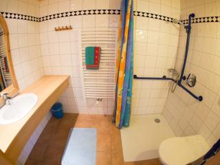 Appartementhaus Wildbachhof - Alpbach - 2