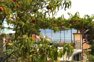 Apartman Matas - Trogir - 2