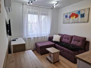 Apartment GEA 31 sa garažnim mestom - Novi Sad - 7