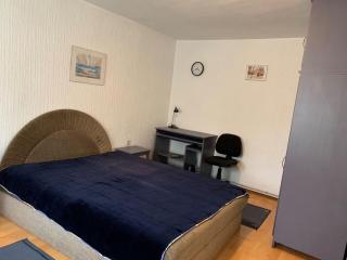 Apartman Kostadinovic - Pirot - 3