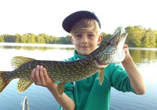 Valle vandrarhem och camping - 2