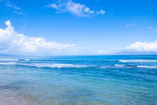 Papakea F105 - Lahaina - 8