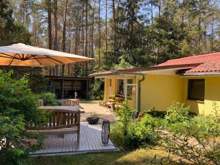 Ferienhaus im Wald - Borkwalde - 8
