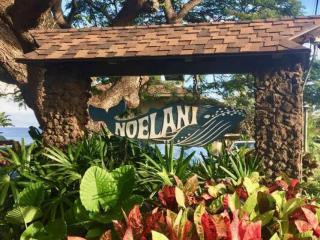 Noelani 305 - Kahana - 0