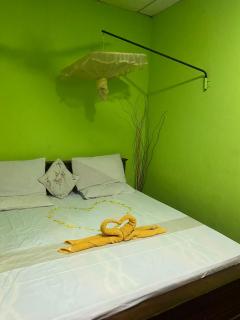 Trinish villa - 3