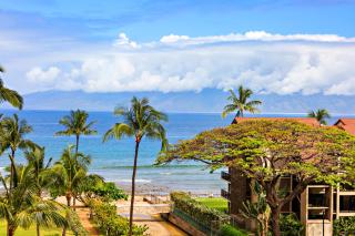 Kaanapali Shores 616 - Kahana - 7