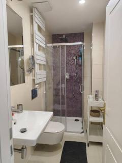 Studio with balcony in Vinohrady - 6