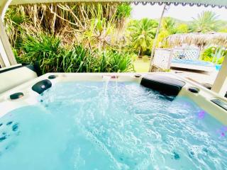 Villa Gaïa - petit coin de paradis créole avec piscine et Jacuzzi - 1
