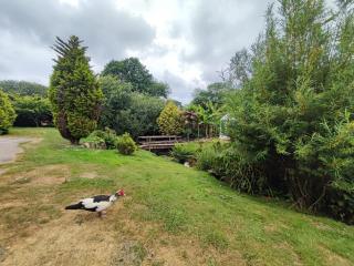 Tree Fern Barn - St Austell - 2