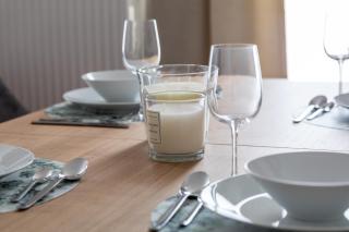 Family retreat on the Danube I 10 minute walk to city centre - 8