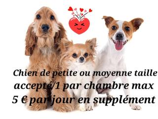 Chambres d'Hôtes "Les Pins" - Coquelles - 6