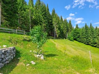 Koča na planini Jelje - Pokljuka - Goreljek - 2
